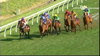 Sheraco Stakes -MORE JOYOUS