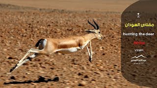 مقناص السودان.. ( عبدالله العمير )hunting the deer