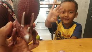Unboxing Mainan Anak Telur Isi Ultraman