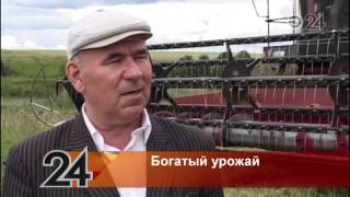 В Татарстане торопятся собрать урожай
