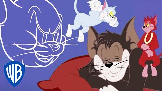 Tom y Jerry en Latino | ¿Puede Butch ser agradable? | WB Kids