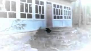 Лагерь-призрак (пионерский лагерь им. Щорса г. Унеча)
