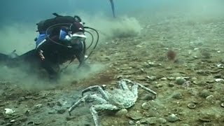 Предельная глубина -  331 - Дайвинг в Кольском Заливе.