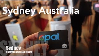 WOW Air Travel Guide Application / Sydney Australia