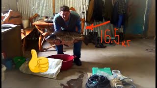 БОЛЬШАЯ РЫБА # БОЛЬШАЯ РАМА ТКАЦКАЯ РАЗДВИЖНАЯ #