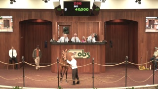 OBS March 2019 Two-Year Olds in Training, Day 1