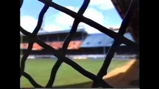 Echoes from Tigers Stadium