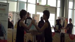 SNAKE KUNGFU (SNAKE BAGUAZHANG) first part. Demo