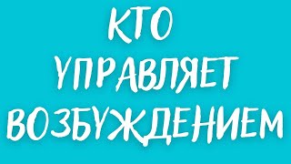 РЕГРЕССИЯ. ГИПЕРСЕКСУАЛЬНОСТЬ ПРИВЛЕКАЕТ СУЩНОСТЕЙ! КАК УПРАВЛЯЮТ НАШИМИ ЖЕЛАНИЯМИ? Сеанс № 108