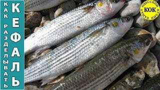 Как правильно разделывать кефаль - пошаговый рецепт