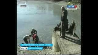 Аквакультура. Холдинг по разведению рыб планируют создать в Северной Осетии