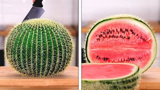 HOW TO GROW YOUR OWN PLANTS || 29 Simple Plant Hacks For Stunning Results