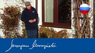 Clematis - Клематис - уход за клематисами в саду