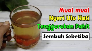 MELEBIHI OBAT MAHAL! CUKUP 1 GELAS, ASAM LAMBUNG / MAAG KRONOS / AKUT NORMAL SEKETIKA | SEHAT TUBE