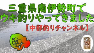 三重県で堤防ウキ釣り