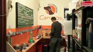 Hundetagesstätte - Canidos