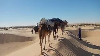 Direction le désert Tunisien