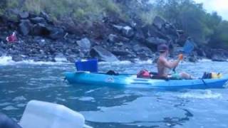 Aloha Kayak helping with Tsunami cleanup