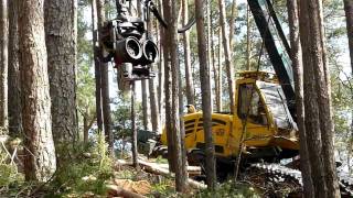 HSM Harvester im Dahner Felsenland carly4711 clips auf youtube