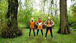 "Wie macht der Fuchs nur?!"         (Ylvis-Cover)