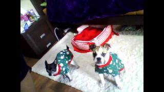 Christmas Tag WhisperCrystal