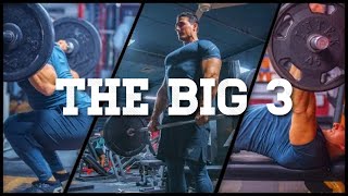 ??TOP MUSCLE BUILDING EXERCISES:  THE BIG 3
