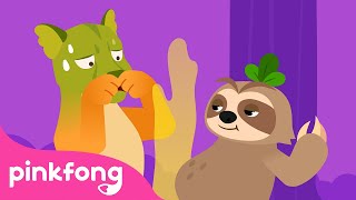Perezoso | Aprende los Animales | Animales para Niños | Pinkfong Canciones ​Infantiles