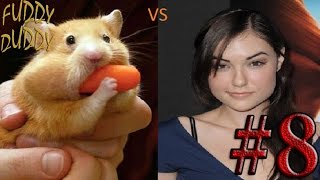 Прикольная Озвучка #8 Выпуск.| Хомяк Саши Грей