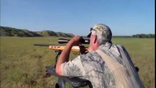 prairie dog shoot .22 hornet
