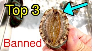 Top 3 Banned Nature Videos