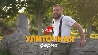 Улиточная ферма: как заработать на слизняках состояние