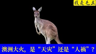 【我是毛五】澳洲大火，是“天灾”还是“人祸”？