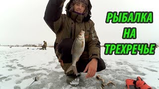 Зимняя рыбалка на Проне, Трехречье