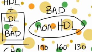 Lipid Panel Interpretation