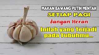 MAKAN BAWANG PUTIH DI PAGI, EFEKNYA UNTUK TUBUH SANGAT MENGEJUTKAN