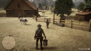 Red Dead Redemption 2 чистка лошади