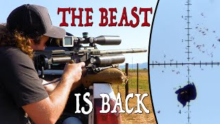 Whacking Pigeons with a 75 FPE .22 Airgun!
