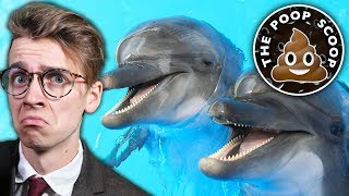 ARE DOLPHINS STONERS? Poop Scoop #27