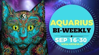 ? AQUARIUS SEP 16-30 BI WEEKLY***TRULY STUBBORN WHEN HURT, RIGHT?***