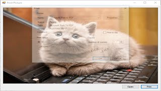 C# Tutorial - Print Picture Box | FoxLearn