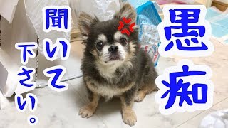 愚痴聞いてください。