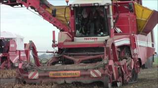 Potato harvest with Grimme Tectron 415. 2013.wvm