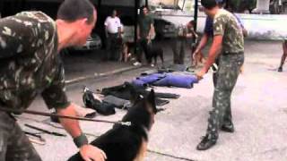 Aula de figuração do Estágio de Adestradores de Cães de Guerra