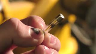 Fix a Dewalt Scroll Saw That Won't Turn On! (Blown Fuse) Tools and Tips Tuesday #1