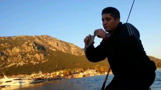 Mırmır avı 2 LRF( Light Rock Fishing )Berkley gulp alive