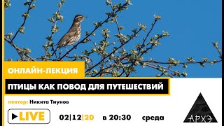 Онлайн-лекция "Птицы как повод для путешествий"