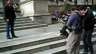 steadi nyc