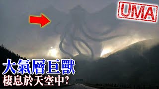 【UMA檔案】大氣層巨獸-棲息在天空中的生物?克勞夫茲維爾怪物事件|Atmospheric beast|未確認生物|超自然|古文明|外星人|