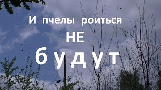 И пчелы роиться не будут