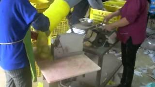 Máy đóng gói túi lưới cho trái cây xuất khẩu KS 05 - khoai tây - 0908848137